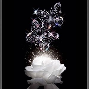 Meet your Posher, Cynthia